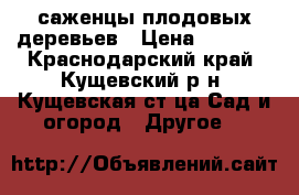 саженцы плодовых деревьев › Цена ­ 6 080 - Краснодарский край, Кущевский р-н, Кущевская ст-ца Сад и огород » Другое   